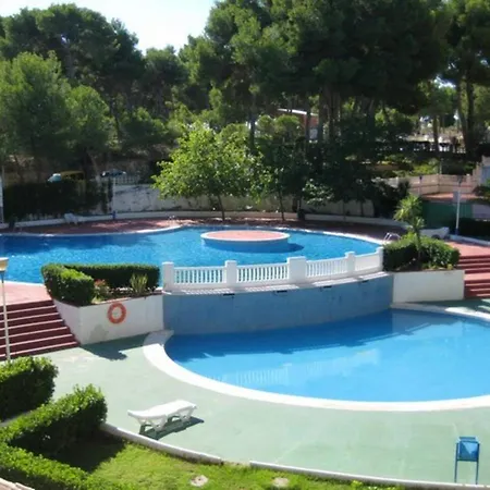 Modern In With Shared Pool 45 M² Apartment